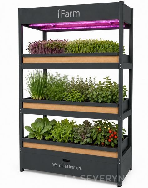 Домашня ферма iFarm &mdash; вирощування зелені з автополивом SEV-IFARM фото